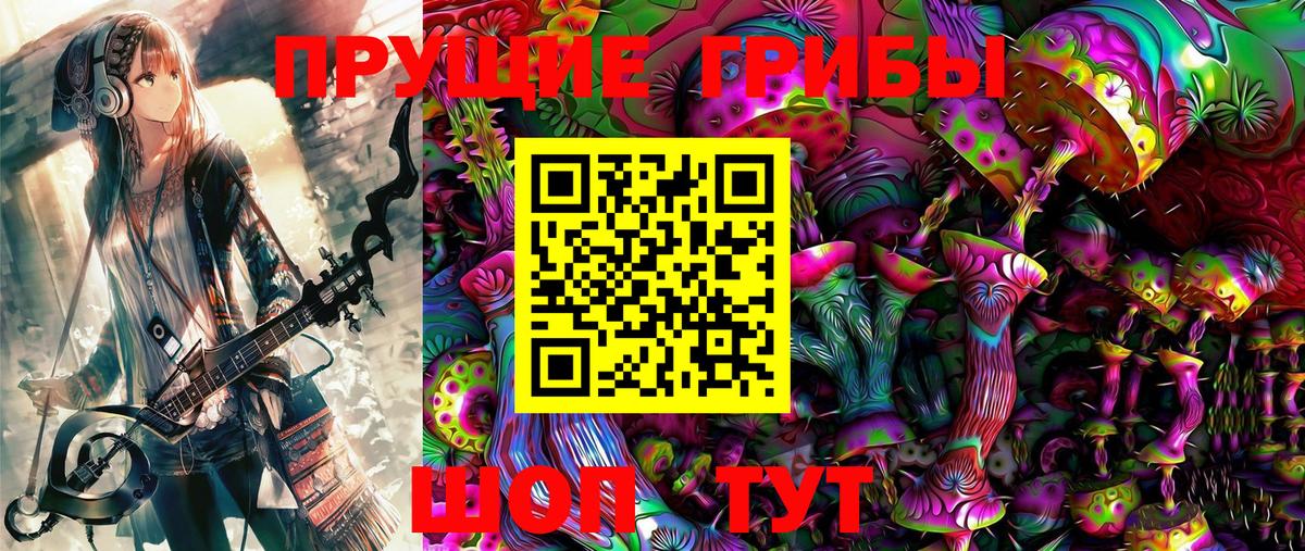 Костомукша  Псилоцибиновые грибы Psilocybine cubensis  Вход с VPN 