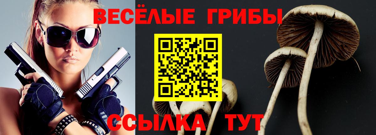 Псилоцибиновые грибы Cubensis Костомукша